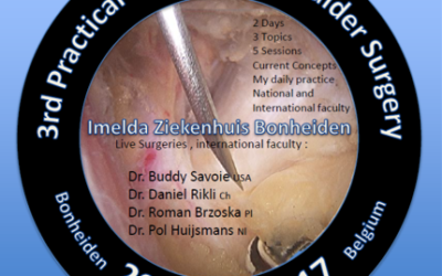 Βρυξέλλες: Ιστορική αναδρομή στην εξέλιξη της ολικής αρθροπλαστικής